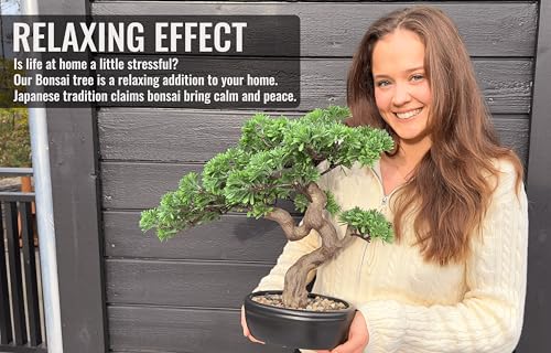 Product: Permaplants Artificial Bonsai Tree 16" Tall with Realistic Wood and Ceramic Pot Fake Plants Juniper Pine Zen Faux Plants for Home Bedroom Office Bathroom Japanese Decor