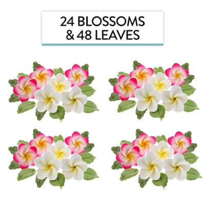 Silky Flower Store Global Sugar Art Tropical Frangipani Plumeria Edible Sugar Flowers, 24 Count, Chef Alan Tetreault, 24 Count 10 10 Product: Global Sugar Art Tropical Frangipani Plumeria Edible Sugar Flower Blossoms, Wedding Cake & Cupcake Flowers with Leaves, 24 Count by Count by Chef Alan Tetreault