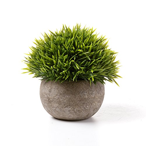 Silky Flower Store Artificial Plant Grey Pot, Fake Green Topiary Shrubs Set of 3, Indoor Outdoor Decor, 12.5cm 3 3 Product: T4U Mini Artificial Plants in Grey Pot, Plastic Fake Green Topiary Shrubs for Home Office Wedding Decoration Set of 3