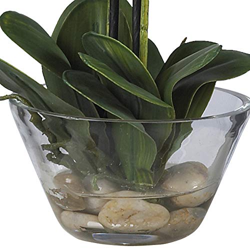 Silky Flower Store Artificial Phalaenopsis Silk Flower Arrangement, White Glass Vase, Faux Water, 29 x 10.25 x 10.25 2 2 Product: Nearly Natural 4643-WH Phalaenopsis with Glass Vase Decorative Silk Flower Arrangement, White 29 x 10.25 x 10.25