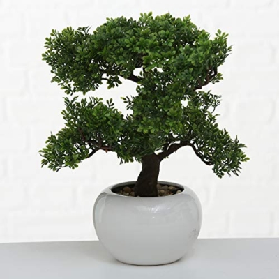 Product: Realistic Faux Harland Boxwood Bonsai Tree, Houseplant, White Round Pot, Pebbles, Padded Bottom, Over 1 Ft Tall, (H33cm)