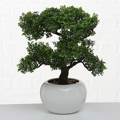 Product: Realistic Faux Harland Boxwood Bonsai Tree, Houseplant, White Round Pot, Pebbles, Padded Bottom, Over 1 Ft Tall, (H33cm)