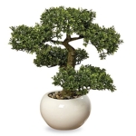 Product: Realistic Faux Harland Boxwood Bonsai Tree, Houseplant, White Round Pot, Pebbles, Padded Bottom, Over 1 Ft Tall, (H33cm)