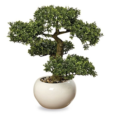 Product: Realistic Faux Harland Boxwood Bonsai Tree, Houseplant, White Round Pot, Pebbles, Padded Bottom, Over 1 Ft Tall, (H33cm)