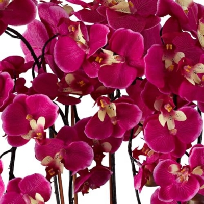 Product: Dahlia Studios Potted Silk Faux Artificial Flowers Arrangements Realistic Purple Fuchsia Orchid in White Ceramic Pot for Home Decoration Living Room Office Bedroom Bathroom Kitchen 29" High