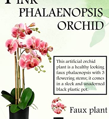 Silky Flower Store Pink Realistic Phalaenopsis Orchids, Artificial Potted Flowers in Black Plastic Pot, 26 Inch Tall, 5 Inch Diameter 12 12 Product: Serene Spaces Living 3 Pink Realistic Phalaenopsis Orchids in Black Plastic Pot, Artificial Potted Flowers - Beautiful Entryway Vase, Foyer Table Décor, Great Gift, Measures 5" Diameter & 26" Tall