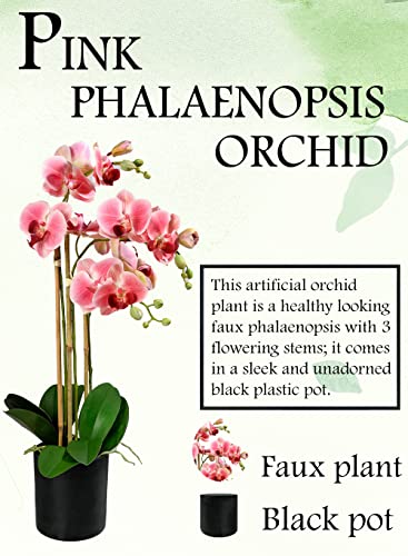 Silky Flower Store Pink Realistic Phalaenopsis Orchids, Artificial Potted Flowers in Black Plastic Pot, 26 Inch Tall, 5 Inch Diameter 4 4 Product: Serene Spaces Living 3 Pink Realistic Phalaenopsis Orchids in Black Plastic Pot, Artificial Potted Flowers - Beautiful Entryway Vase, Foyer Table Décor, Great Gift, Measures 5" Diameter & 26" Tall