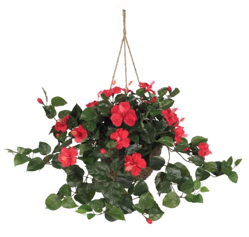 Nearly Natural Hibiscus Hanging Basket - Artificial Flower Arrangements Product: Nearly Natural Hibiscus Hanging Basket
