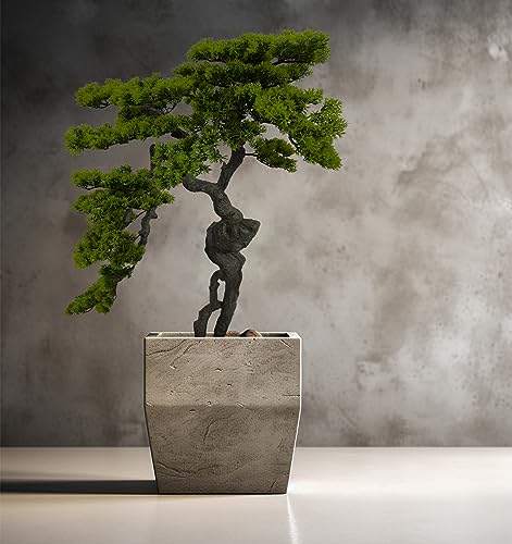 Product: AfanD 3.5ft（43in） Artificial Bonsai Tree Juniper Faux Plants Indoor Big Fake Plants Decor with Ceramic Pots for Home Table Office Desk Bathroom Shelf Bedroom Living Room Farmhouse Decorations
