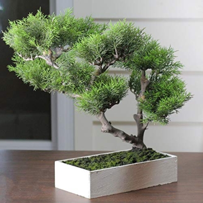 Product: Northlight Seasonal 18 in. Artificial Japanese Bonsai Tree Box