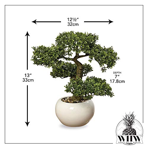 Product: Realistic Faux Harland Boxwood Bonsai Tree, Houseplant, White Round Pot, Pebbles, Padded Bottom, Over 1 Ft Tall, (H33cm)