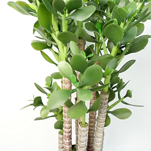 Product: Leaf Artificial Bonsai Tree