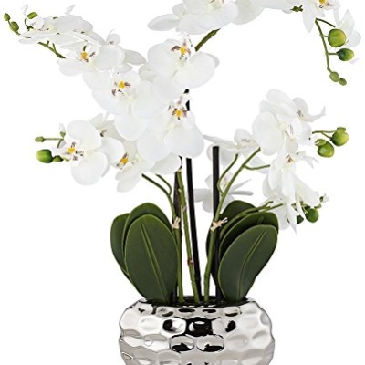 Product: Dahlia Studios Potted Faux Artificial Flowers Arrangements Realistic White Phalaenopsis Orchid in Silver Pot Home Decoration Living Room Office Bedroom Bathroom Kitchen Dining Room 23" High