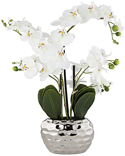 Dahlia Studios Potted Faux Artificial Flowers Arrangements Realistic White Phalaenopsis Orchid in Silver Pot Home Decoration Living Room Office Bedroom Bathroom Kitchen Dining Room 23" High - Artificial Flower Arrangements Product: Dahlia Studios Potted Faux Artificial Flowers Arrangements Realistic White Phalaenopsis Orchid in Silver Pot Home Decoration Living Room Office Bedroom Bathroom Kitchen Dining Room 23" High
