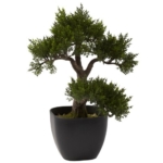 Product: Nearly Natural 4966 Cedar Bonsai Artificial Tree, 15-Inch, Green