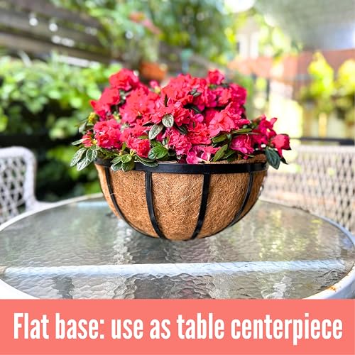Silky Flower Store Outdoor Hanging Planter Baskets, Coco Liner Metal Round Flower Pots, 6 Pack, 12 Inch 8 8 Product: LaLaGreen Outdoor Hanging Baskets for Plants (6 Pack, 12 Inch) Medium Hanging Planter with Coco Liner, Flat Iron Metal Round Plant Flower Pots for Deck Patio Porch Garden Balcony Outside Decoration