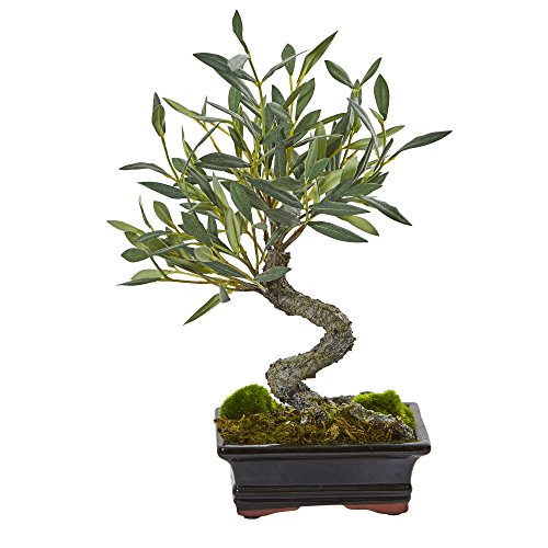 Product: Nearly Natural Mini Olive Artificial Bonsai Tree
