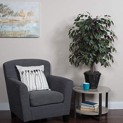 Silky Flower Store Artificial Capensia Bush, Decorative Rattan Basket, Faux Floor Plant, Indoor Greenery, 4-Feet 10 10 Product: Vickerman 4-Feet Artificial Capensia Bush in Decorative Rattan Basket