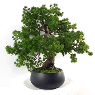 Silky Flower Store Artificial Pine Bonsai Tree, Leaf LEAF 7518, Black Ceramic Bowl Planter, Decorative Faux Bonsai, 50cm 9 9 Product: Leaf LEAF-7518 50cm Artificial Pine Bonsai Tree