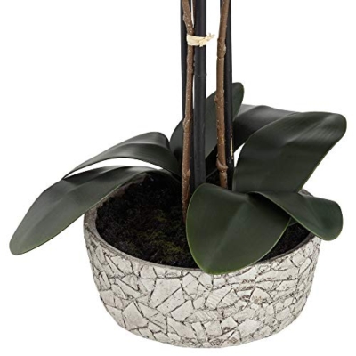 Silky Flower Store Artificial Red Orchid Arrangement, Studio 55D Potted Silk Faux Flower in Crackle Gray Vase, 24 High 10 10 Product: Studio 55D Potted Silk Faux Artificial Flower Arrangement Realistic Red Orchid in Crackle Gray Vase for Home Decoration Living Room Office Bedroom Bathroom Kitchen Dining Room 24" High