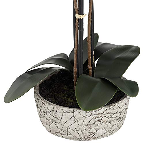 Silky Flower Store Artificial Red Orchid Arrangement, Studio 55D Potted Silk Faux Flower in Crackle Gray Vase, 24 High 4 4 Product: Studio 55D Potted Silk Faux Artificial Flower Arrangement Realistic Red Orchid in Crackle Gray Vase for Home Decoration Living Room Office Bedroom Bathroom Kitchen Dining Room 24" High