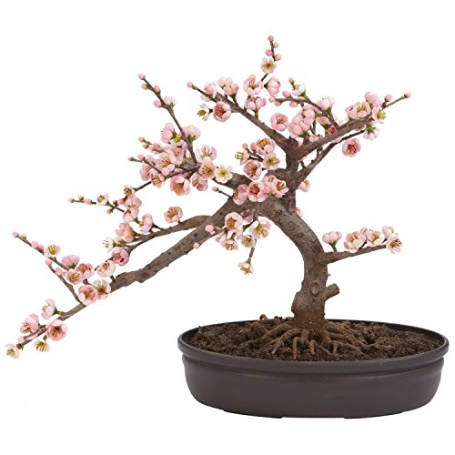 Product: Nearly Natural Cherry Blossom Bonsai Silk Tree, Pink