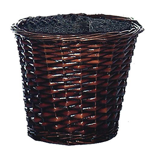 Silky Flower Store Artificial Capensia Bush, Decorative Rattan Basket, Faux Floor Plant, Indoor Greenery, 4-Feet 2 2 Product: Vickerman 4-Feet Artificial Capensia Bush in Decorative Rattan Basket