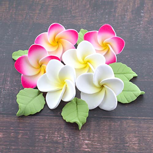 Silky Flower Store Global Sugar Art Tropical Frangipani Plumeria Edible Sugar Flowers, 24 Count, Chef Alan Tetreault, 24 Count 7 7 Product: Global Sugar Art Tropical Frangipani Plumeria Edible Sugar Flower Blossoms, Wedding Cake & Cupcake Flowers with Leaves, 24 Count by Count by Chef Alan Tetreault