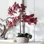 Product: Studio 55D Potted Silk Faux Artificial Flower Arrangement Realistic Red Orchid in Crackle Gray Vase for Home Decoration Living Room Office Bedroom Bathroom Kitchen Dining Room 24" High
