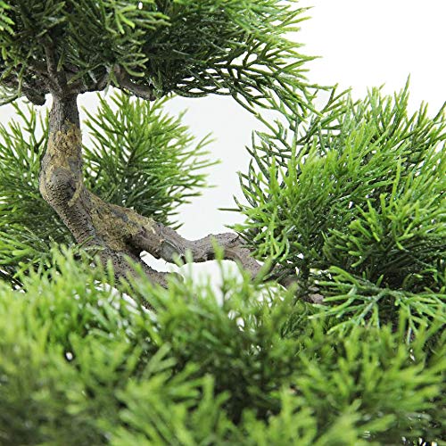 Product: Northlight Seasonal 18 in. Artificial Japanese Bonsai Tree Box