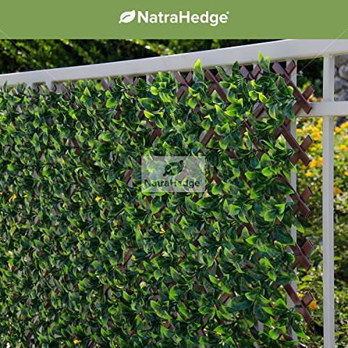 Product: NatraHedge Artificial Ficus Leaf Expandable Lattice