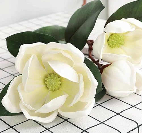 Silky Flower Store Artificial Magnolia Flowers Branches, Lifelike White Magnolia Stems, Pack of 4, 30in 5 5 Product: Dophinena Artificial Magnolia Flowers Branches Lifelike White Magnolia Stems for Home Decor Wedding Bouquet Table Centerpieces Floral Arrangment (Pack of 4pcs)