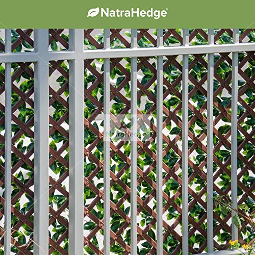 Product: NatraHedge Artificial Ficus Leaf Expandable Lattice