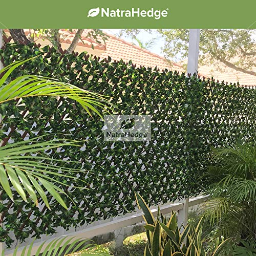 Product: NatraHedge Artificial Ficus Leaf Expandable Lattice