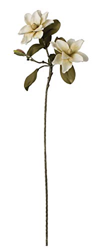 Kalalou Magnolia Flower Botanica, One Size, Off- White - Artificial Flower Arrangements Product: Kalalou Magnolia Flower Botanica, One Size, Off- White