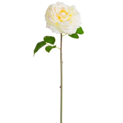 Product: 20" Silk Open Cabbage Rose Flower Stem -Cream/Blush (Pack of 12)