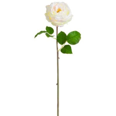 Product: 20" Silk Cabbage Rose Bud Flower Stem -Cream/Blush (Pack of 12)