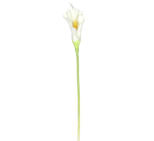Silky Flower Store Artificial Silk Calla Lily Flower Sprays, Bendable Stems, Elegant Faux Floral Decor, 34cm, 24 Pieces 1 1 Product: 24 Pieces of 34" Large Calla Lily Bendable Sprays Artificial Silk Flowers
