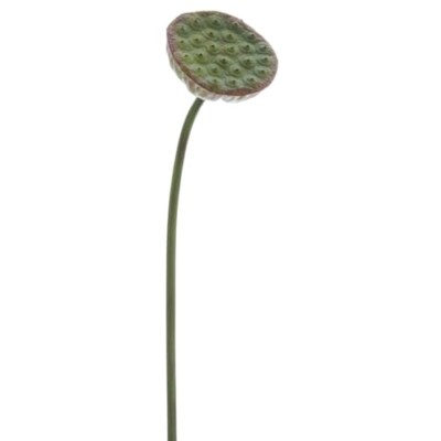 Product: 29.5" Silk Lotus Pod Flower Spray -Green (Pack of 12)