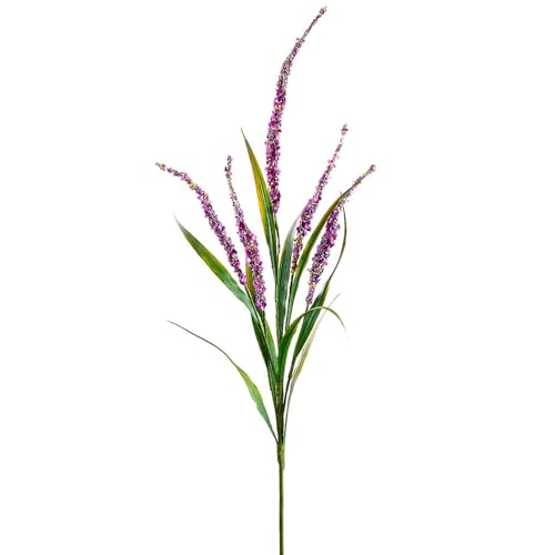 Product: SilksAreForever 25" Artificial Foxtail Flower Stem -Purple (Pack of 12)