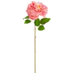 Product: 20" Silk Open Cabbage Rose Flower Stem -2 Tone Rose (Pack of 12)