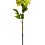 Product: Arcadia Silk Plantation 28" Dahlia Spray Lime Pink (pack of 12)