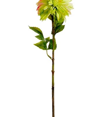 Product: Arcadia Silk Plantation 28" Dahlia Spray Lime Pink (pack of 12)
