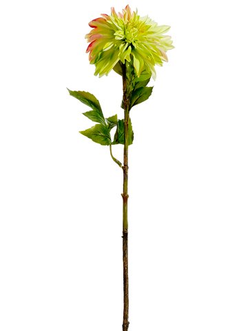 Arcadia Silk Plantation 28" Dahlia Spray Lime Pink (pack of 12) - Artificial Flower Arrangements Product: Arcadia Silk Plantation 28" Dahlia Spray Lime Pink (pack of 12)