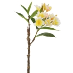 Product: 28" Frangipani Plumeria Silk Flower Stem -Cream/Yellow (Pack of 12)