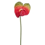 Product: 27" Large Anthurium Spray Burgundy (Pack of 12)
