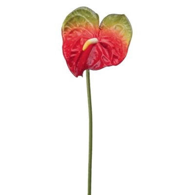 Product: 27" Large Anthurium Spray Burgundy (Pack of 12)