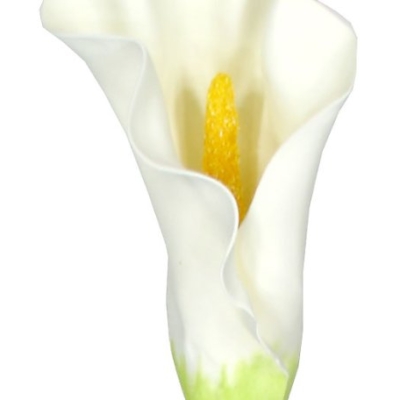 Silky Flower Store Artificial Silk Calla Lily Flower Sprays, Bendable Stems, Elegant Faux Floral Decor, 34cm, 24 Pieces 5 5 Product: 24 Pieces of 34" Large Calla Lily Bendable Sprays Artificial Silk Flowers