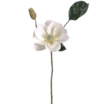 Product: 27" Magnolia Silk Flower Stem -Cream (Pack of 6)