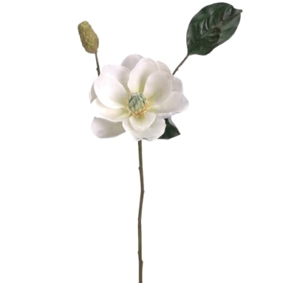 Product: 27" Magnolia Silk Flower Stem -Cream (Pack of 6)